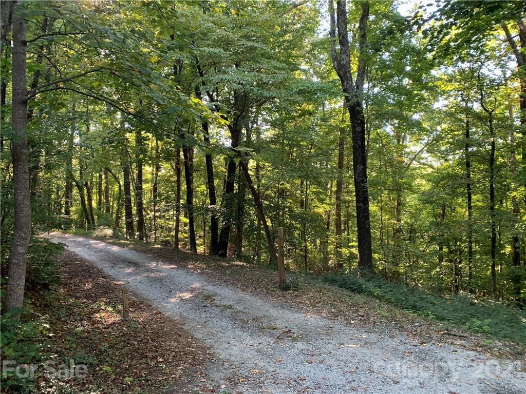 0 Wilderness Road Tryon, NC 28782 - Photo 9 of 11 a view of a forest with trees in the background