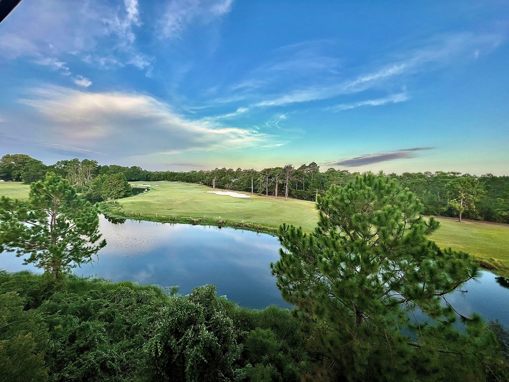 331 Eagles Way Carrabelle, FL 32322 - Photo 3 of 27