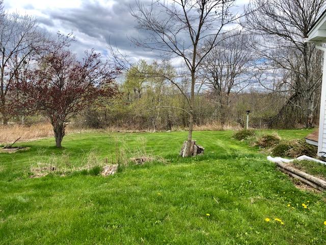 1750 Castine Road Penobscot, ME 04476 - Photo 15 of 21 Back Yard
