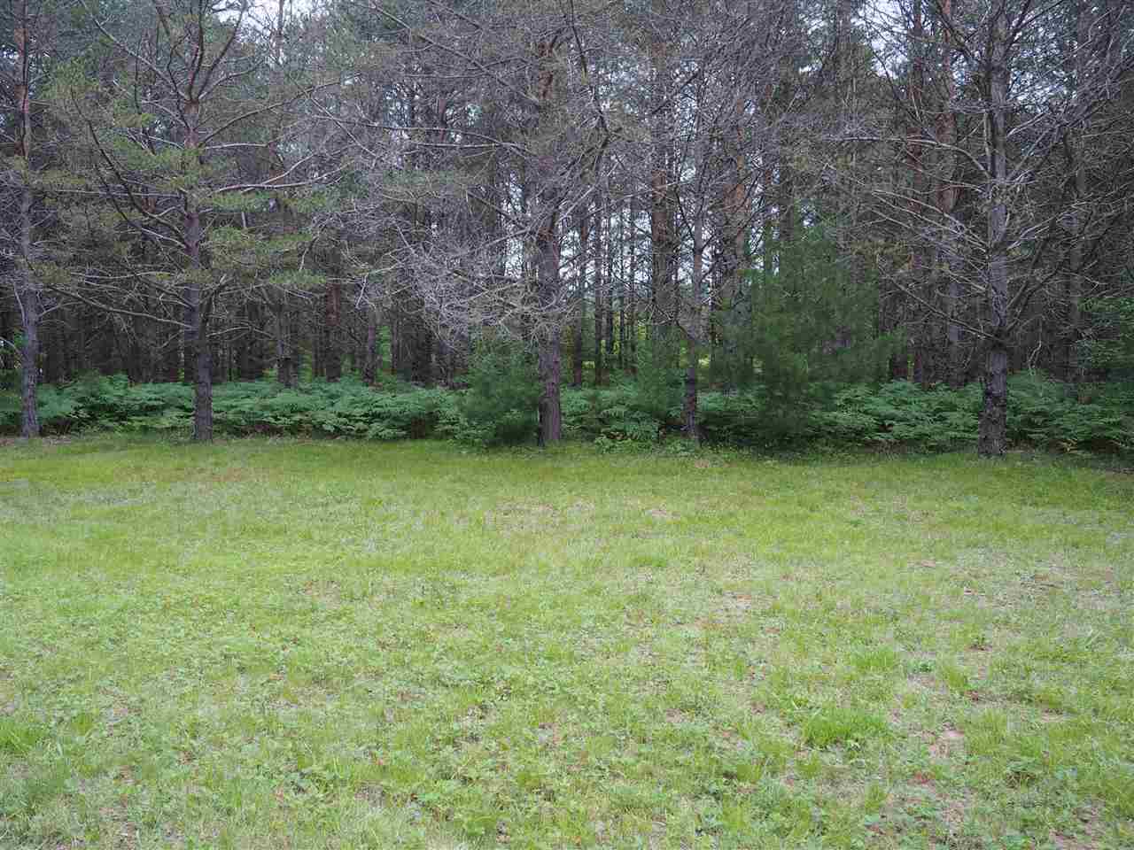 12195 Coster Road Southwest Fife Lake, MI 49633 - Photo 23 of 29 1869181-22.JPG