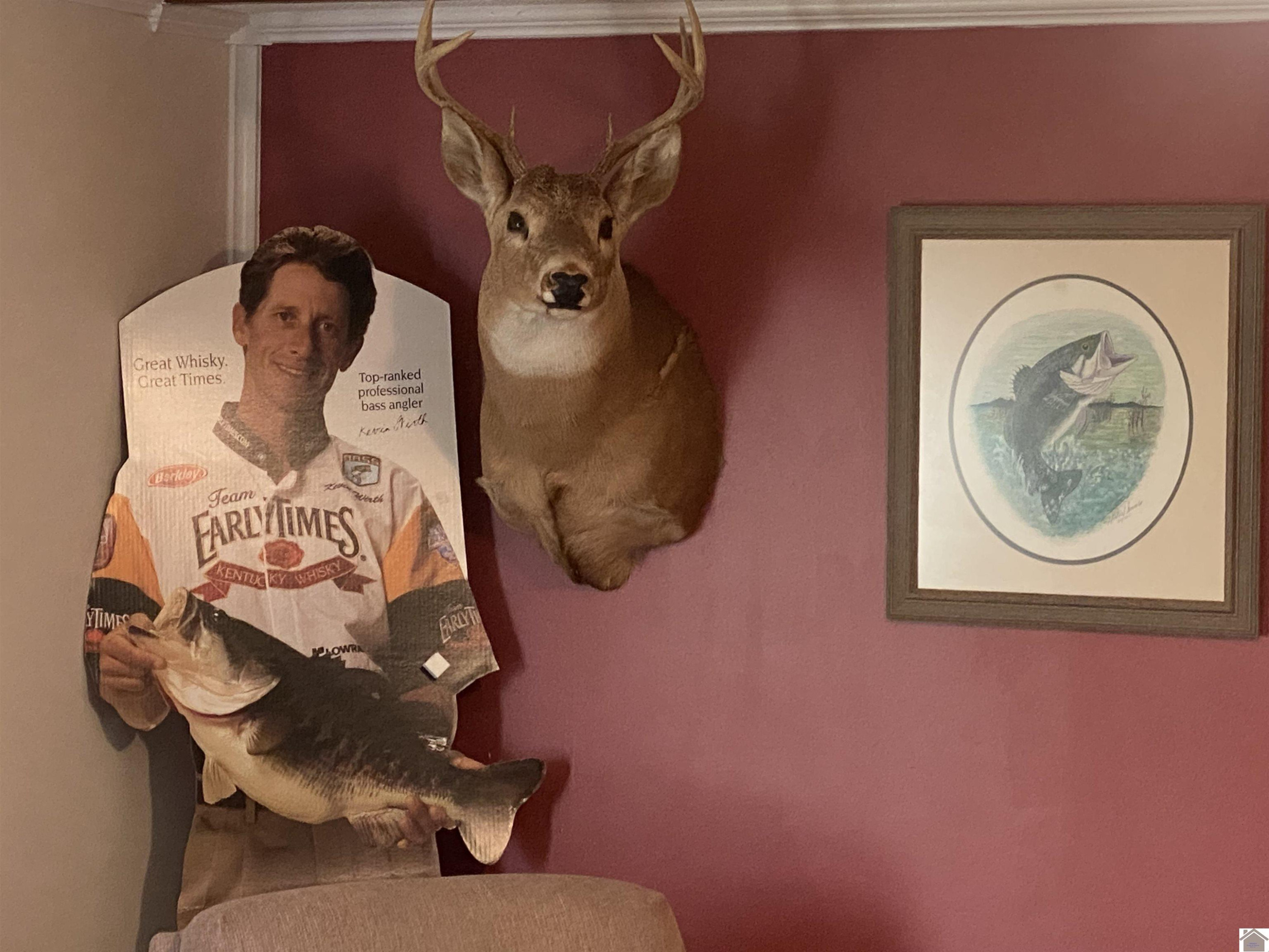 500 B B Hall Road Cadiz, KY 42211 - Photo 10 of 17 Photo 10