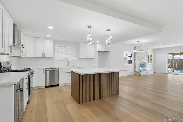 a view of a backyard with plants and a garden