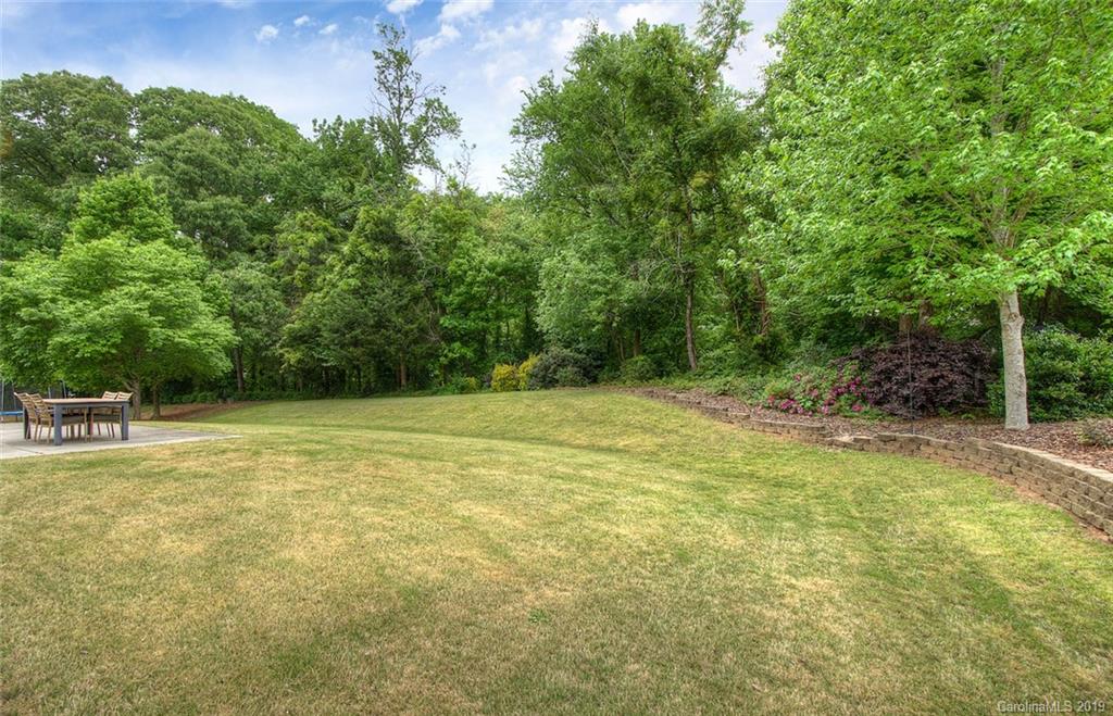 538 Quicksilver Trail Fort Mill, SC 29708 - Photo 31 of 39 a view of a yard with an outdoor space