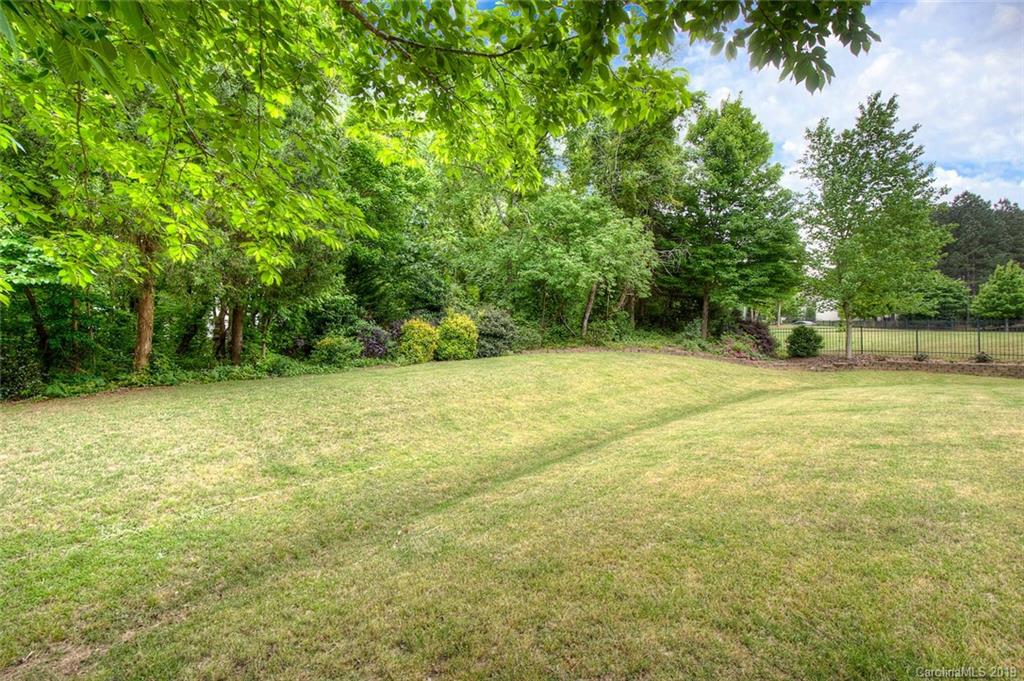538 Quicksilver Trail Fort Mill, SC 29708 - Photo 32 of 39 a view of yard with green space