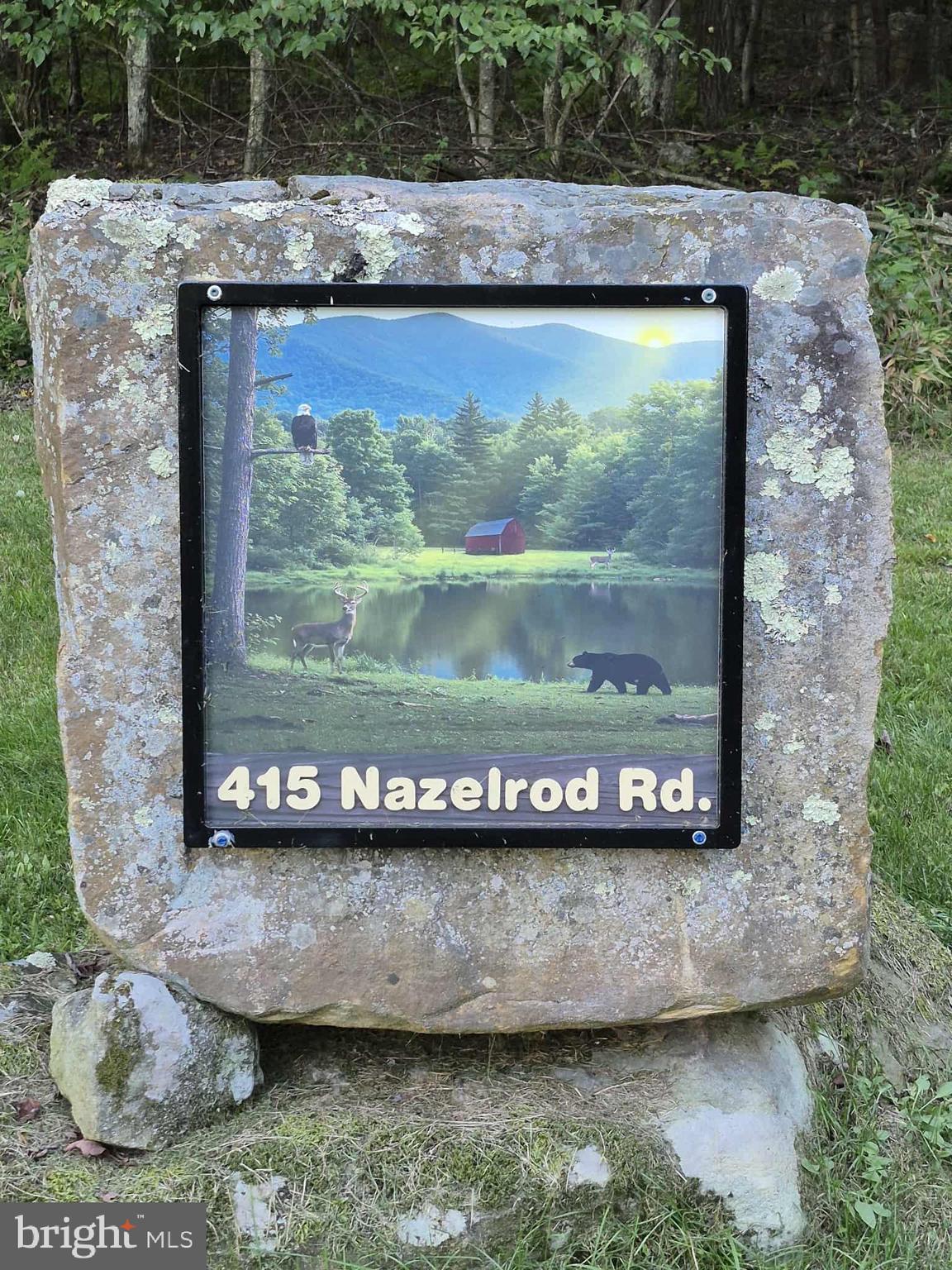 415 Nazelrod Road Oakland, MD 21550 - Photo 2 of 106