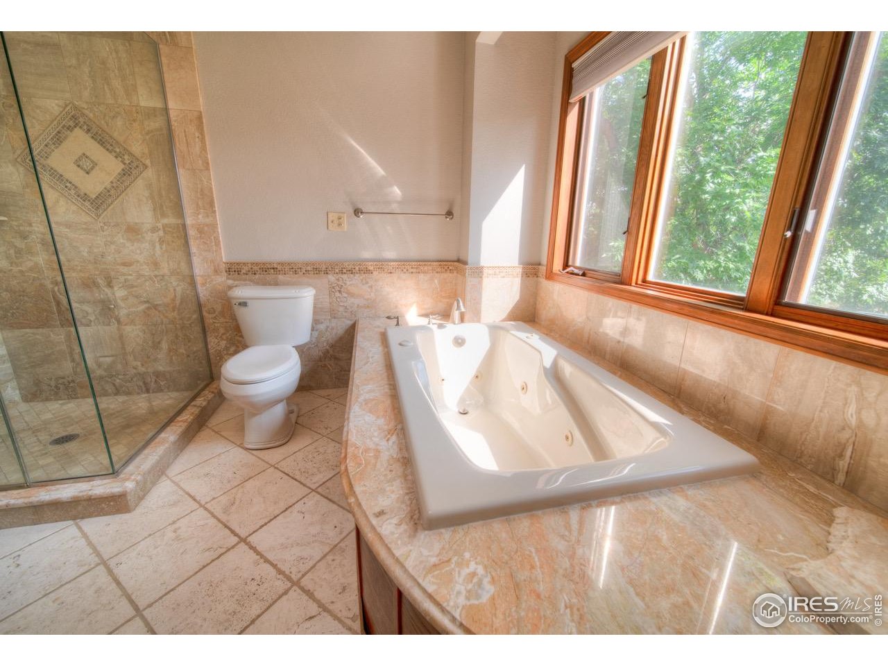 9020 Rogers Road Longmont, CO 80503 - Photo 16 of 39 a bathroom with a sink a toilet and a shower