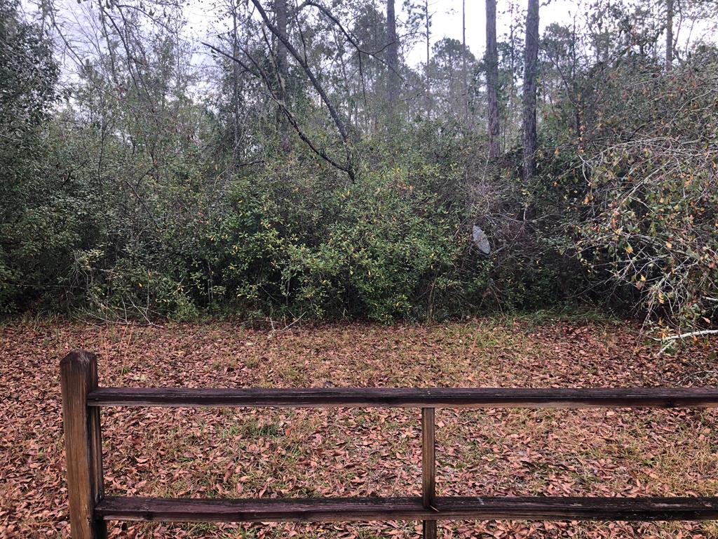 46850 Highway 65 Bristol, FL 32321 - Photo 15 of 27