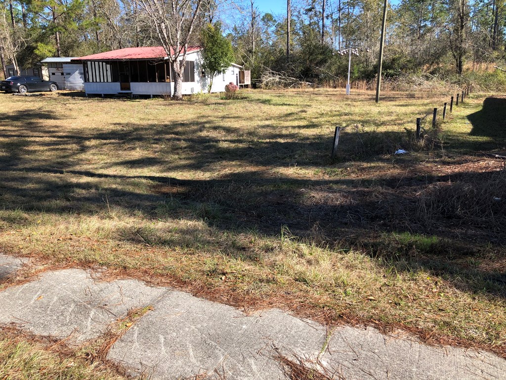 46850 Highway 65 Bristol, FL 32321 - Photo 2 of 27