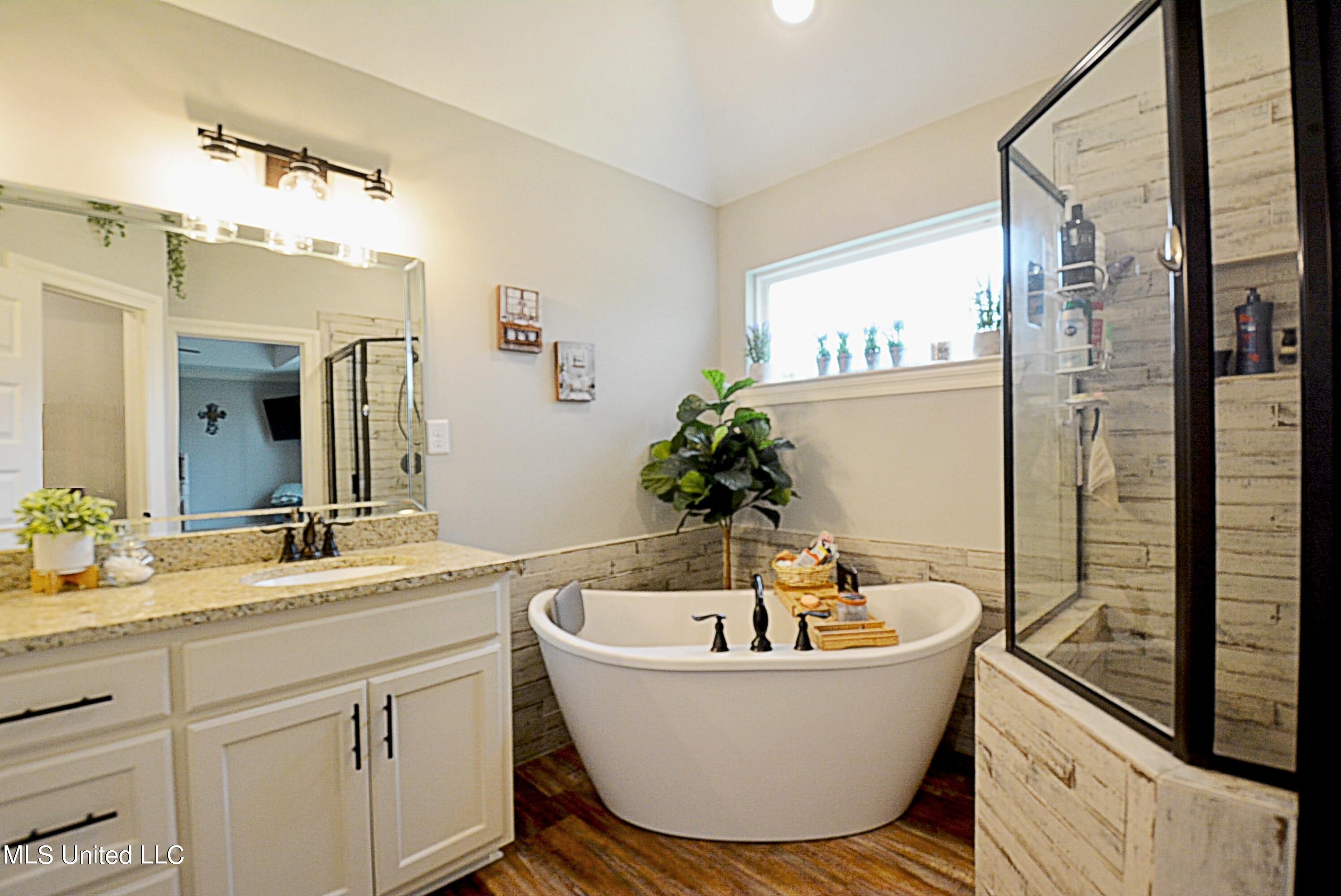 151 Oak Ridge Lakes Drive Coldwater, MS 38618 - Photo 15 of 27 Master Bathroom