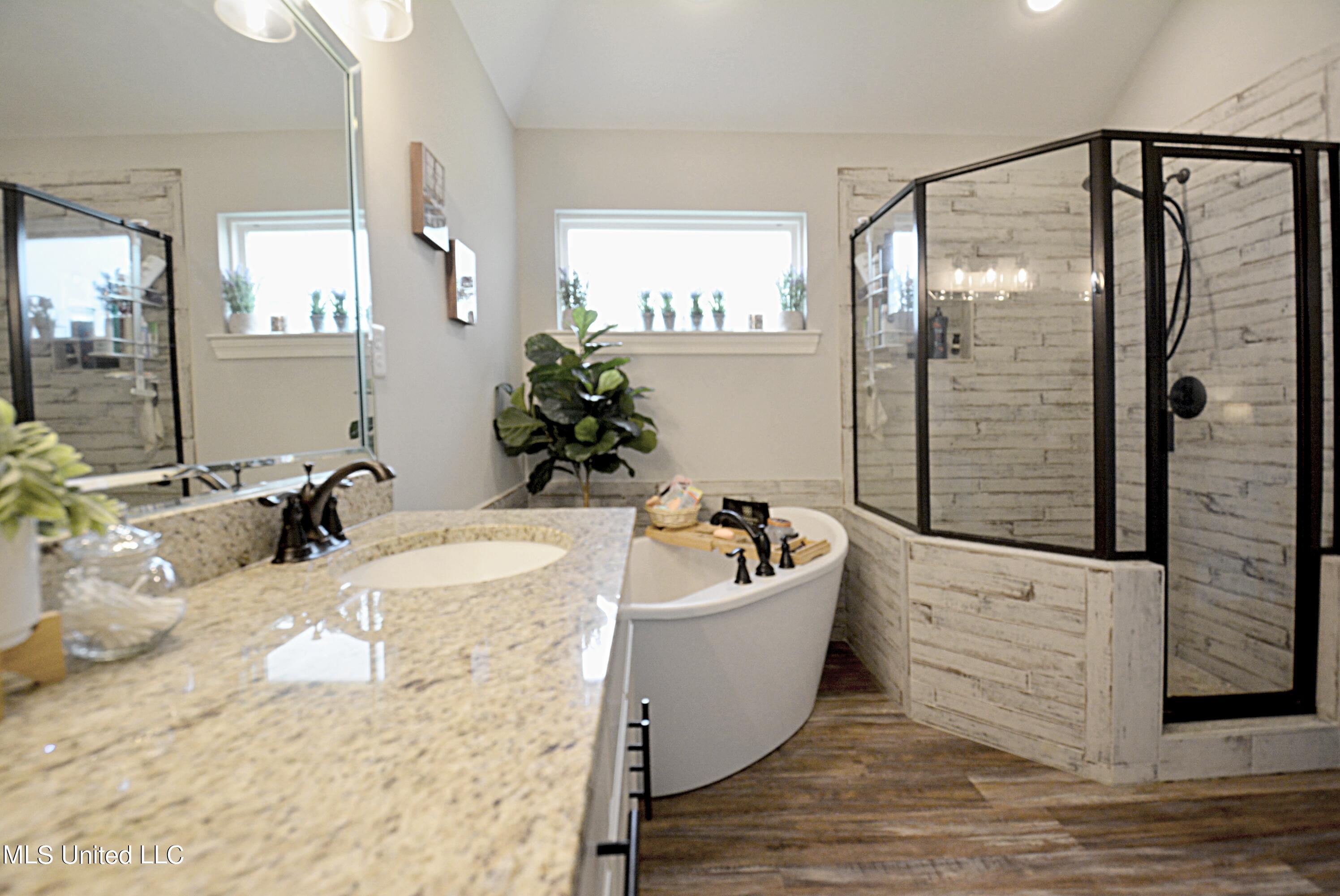 151 Oak Ridge Lakes Drive Coldwater, MS 38618 - Photo 16 of 27 Master Bath Vanity