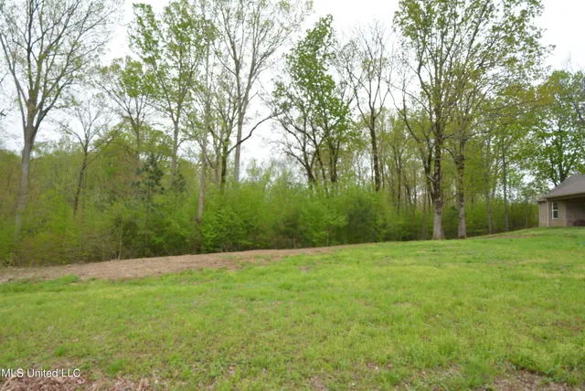 $389,900 | 151 Oak Ridge Lakes Drive, Coldwater, MS 38618