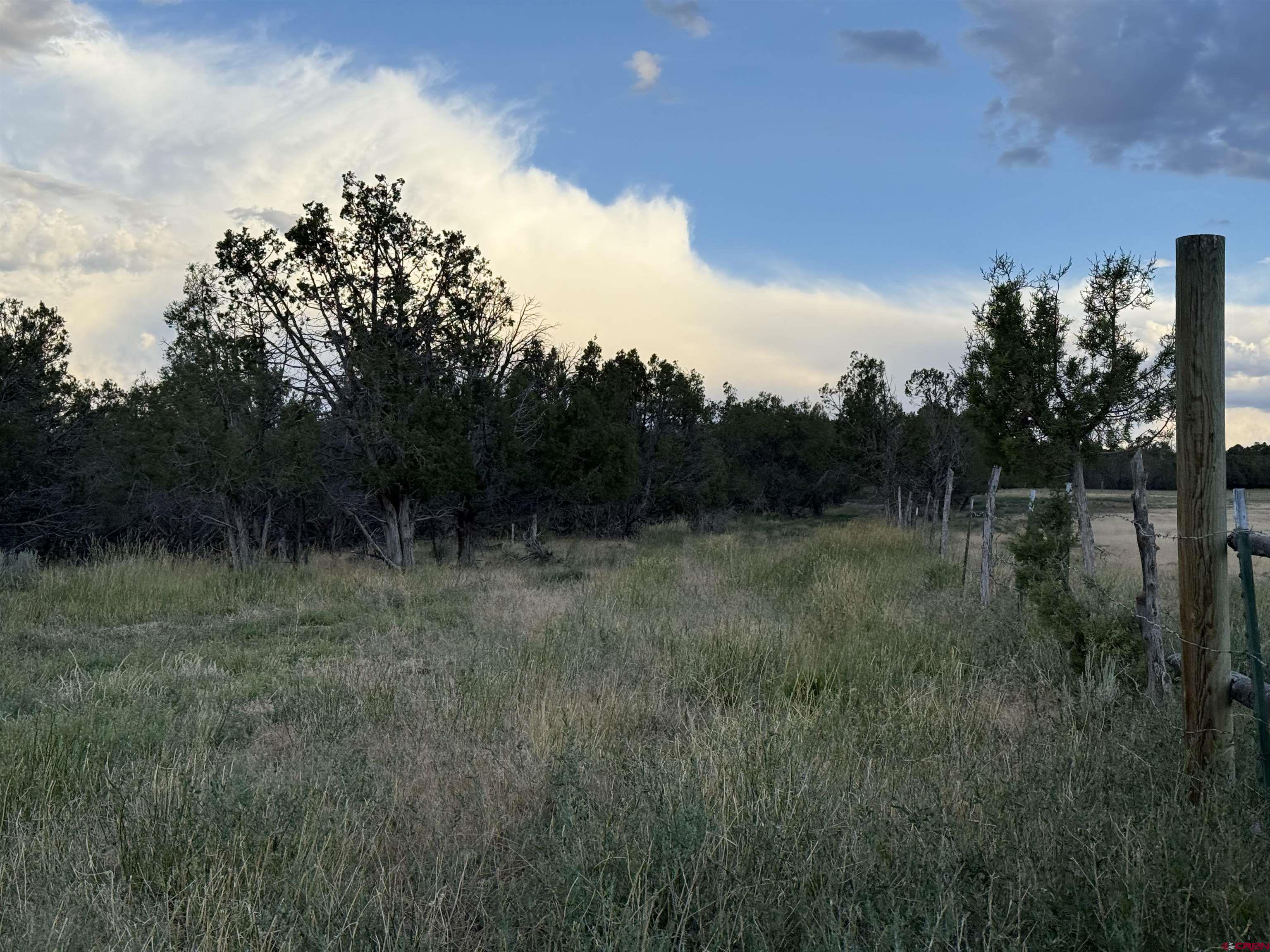 34706 Fruitland Mesa Road Crawford, CO 81415 - Photo 22 of 45 a view of a field