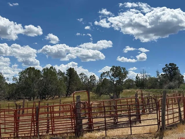 a house view with a garden