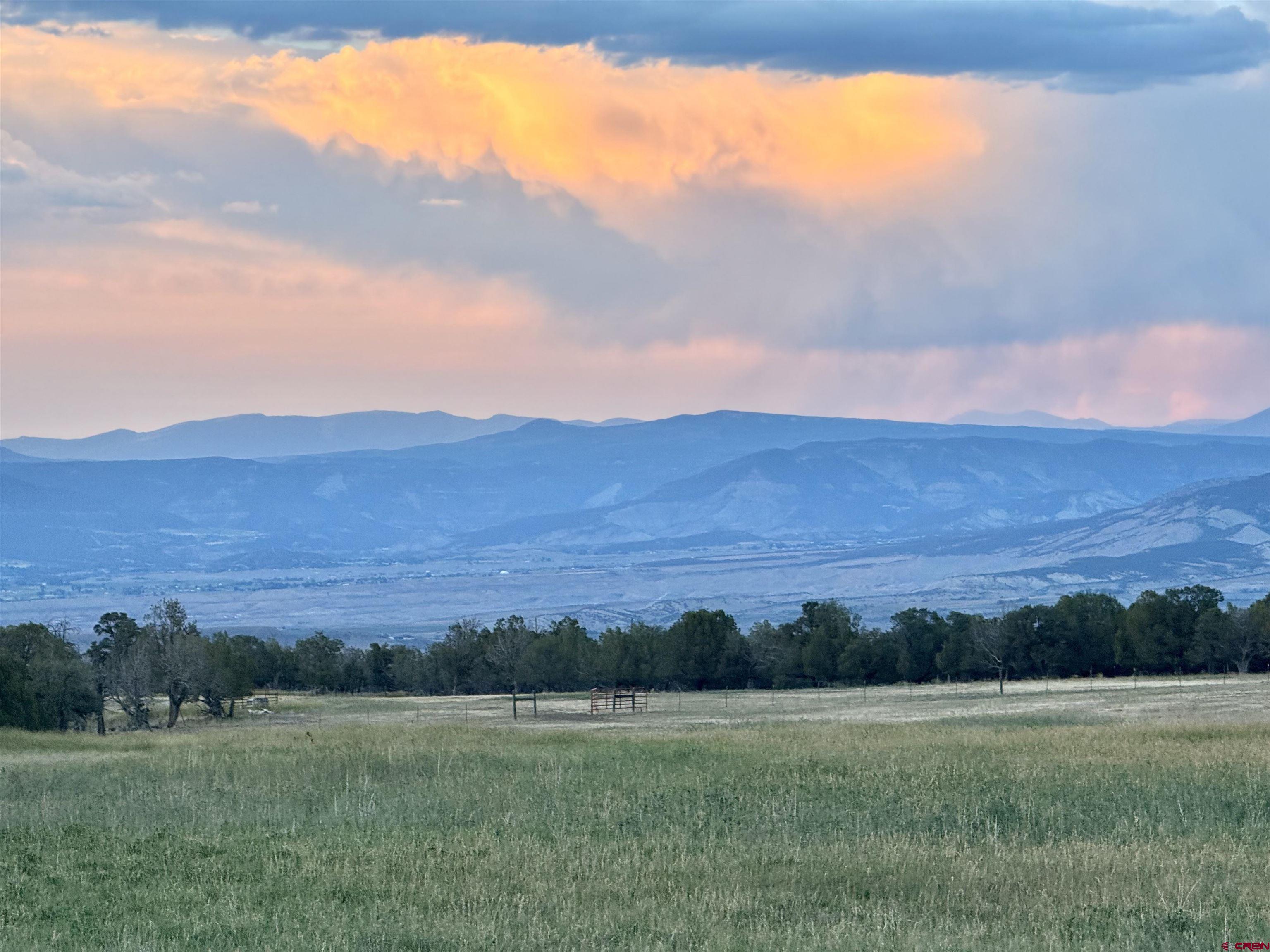 34706 Fruitland Mesa Road Crawford, CO 81415 - Photo 7 of 45 a view of grassy field with mountain in the background