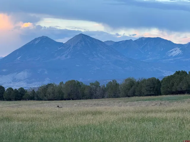 a view of a house with backyard and garden