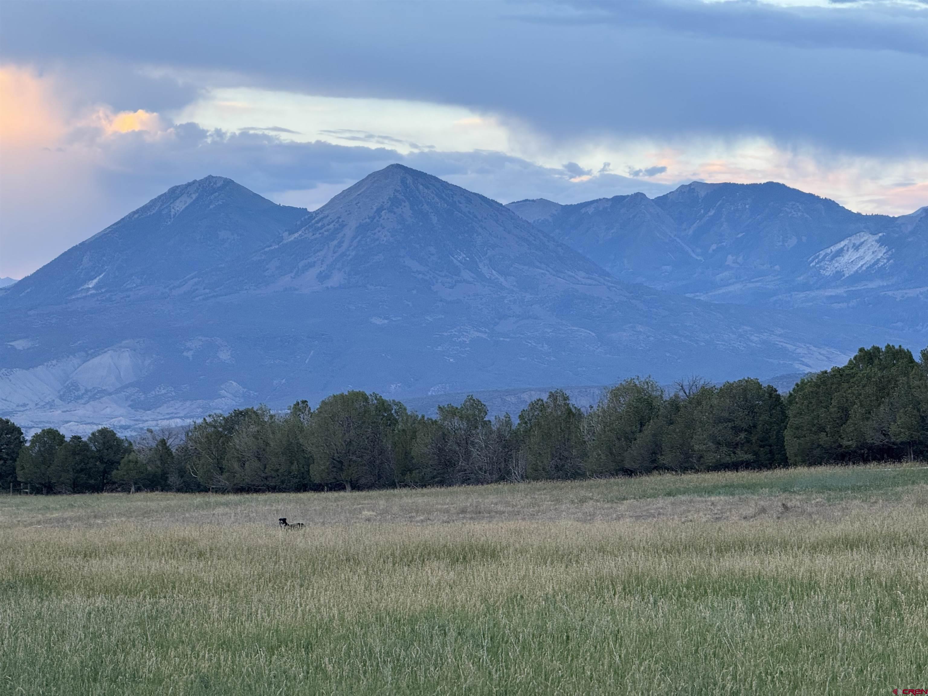 34706 Fruitland Mesa Road Crawford, CO 81415 - Photo 9 of 45 a view of an outdoor space and mountain view