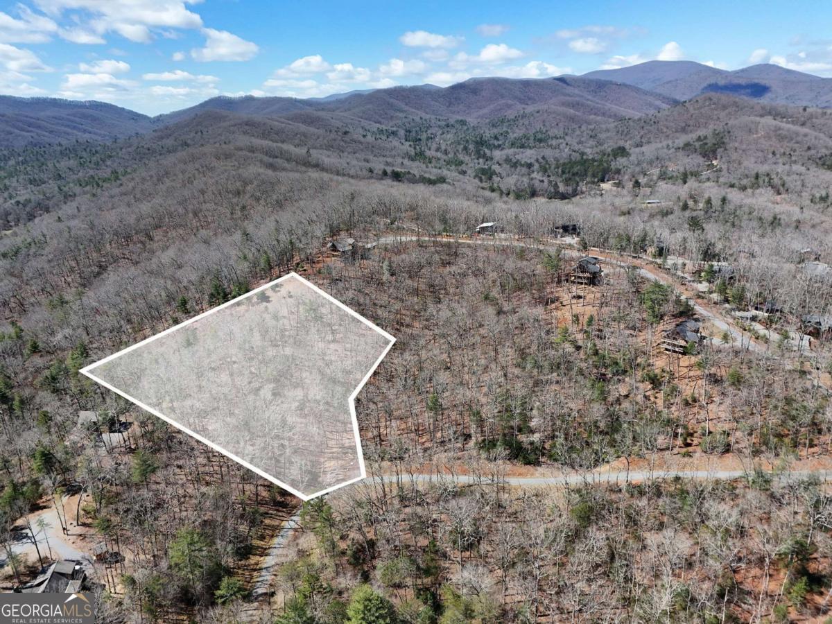 Lot 15 Native Trail Cherry Log, GA 30513 - Photo 11 of 11 a view of a dry yard