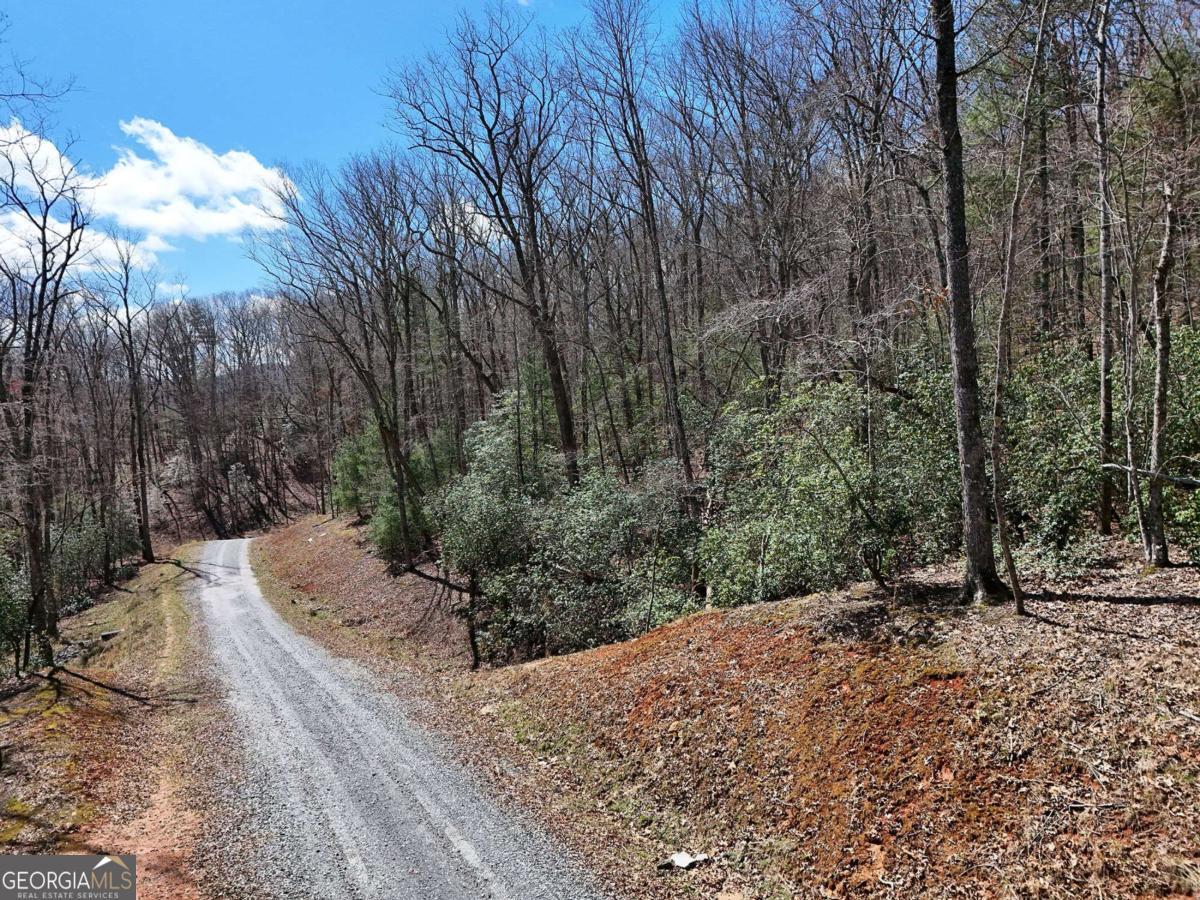Lot 15 Native Trail Cherry Log, GA 30513 - Photo 2 of 11 a view of a dry yard with trees