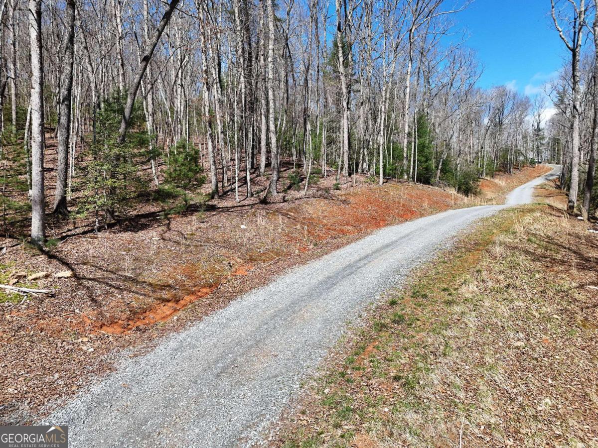 Lot 15 Native Trail Cherry Log, GA 30513 - Photo 4 of 11