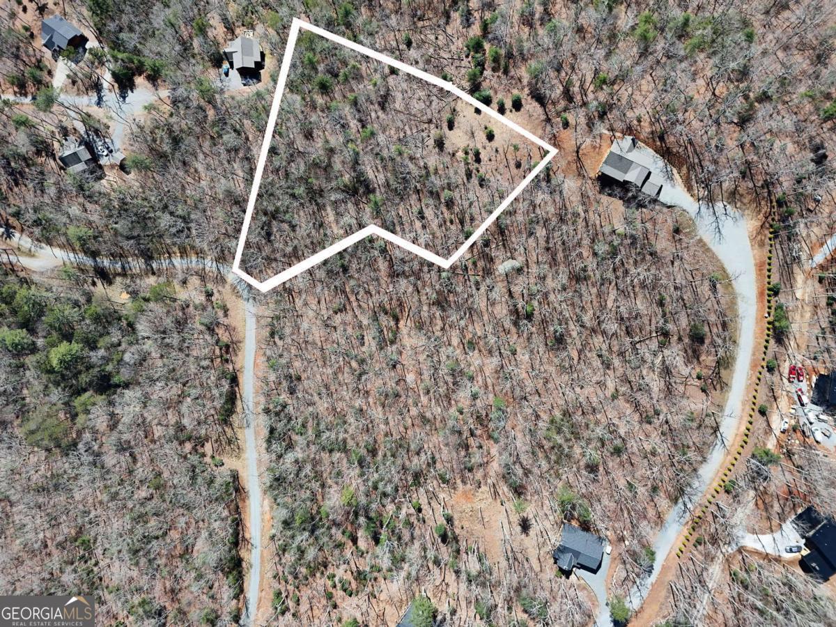 Lot 15 Native Trail Cherry Log, GA 30513 - Photo 7 of 11 a view of a yard with a tree