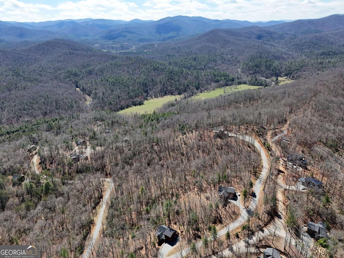 Lot 15 Native Trail Cherry Log, GA 30513 - Photo 8 of 11 a view of a dry yard
