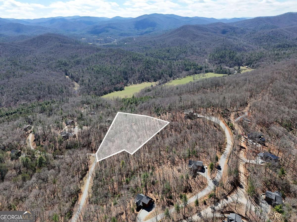 Lot 15 Native Trail Cherry Log, GA 30513 - Photo 9 of 11 a view of a house with a mountain