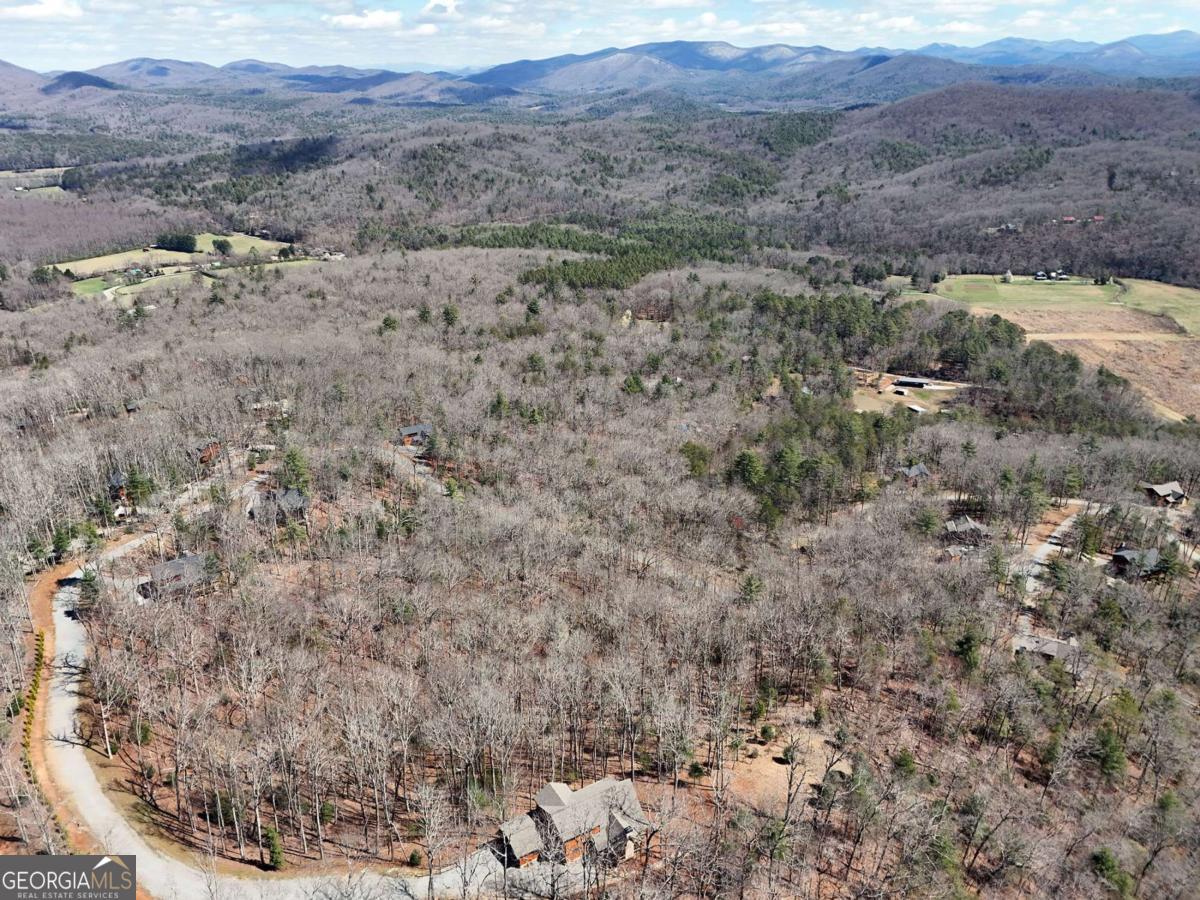 Lot 15 Native Trail Cherry Log, GA 30513 - Photo 10 of 11 a view of a dry field