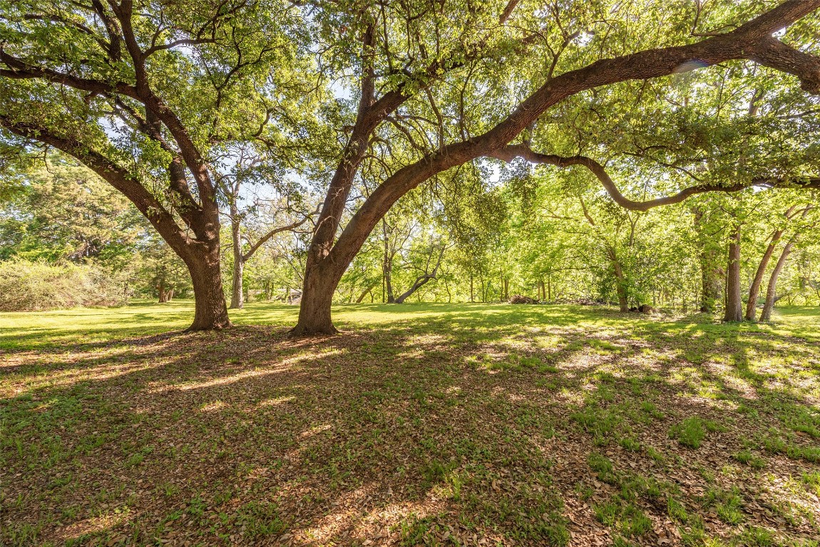 1701 Sylvester Road Houston, TX 77009 - Photo 17 of 19 Greenspace behind property.