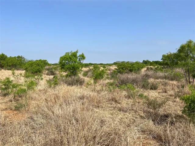 a view of a lush green space