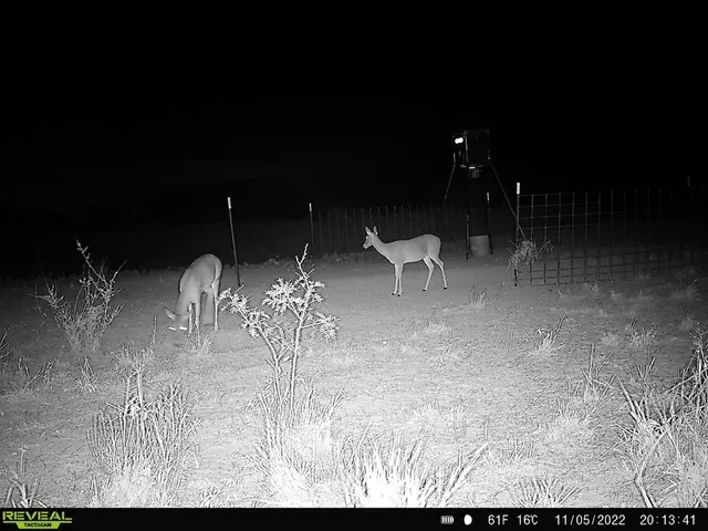 a view of a tables and chairs in patio