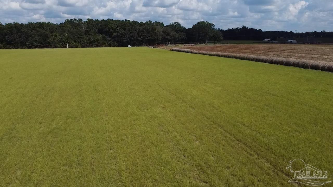5900 Bullard Road Milton, FL 32570 - Photo 23 of 26 Gallery Image 23