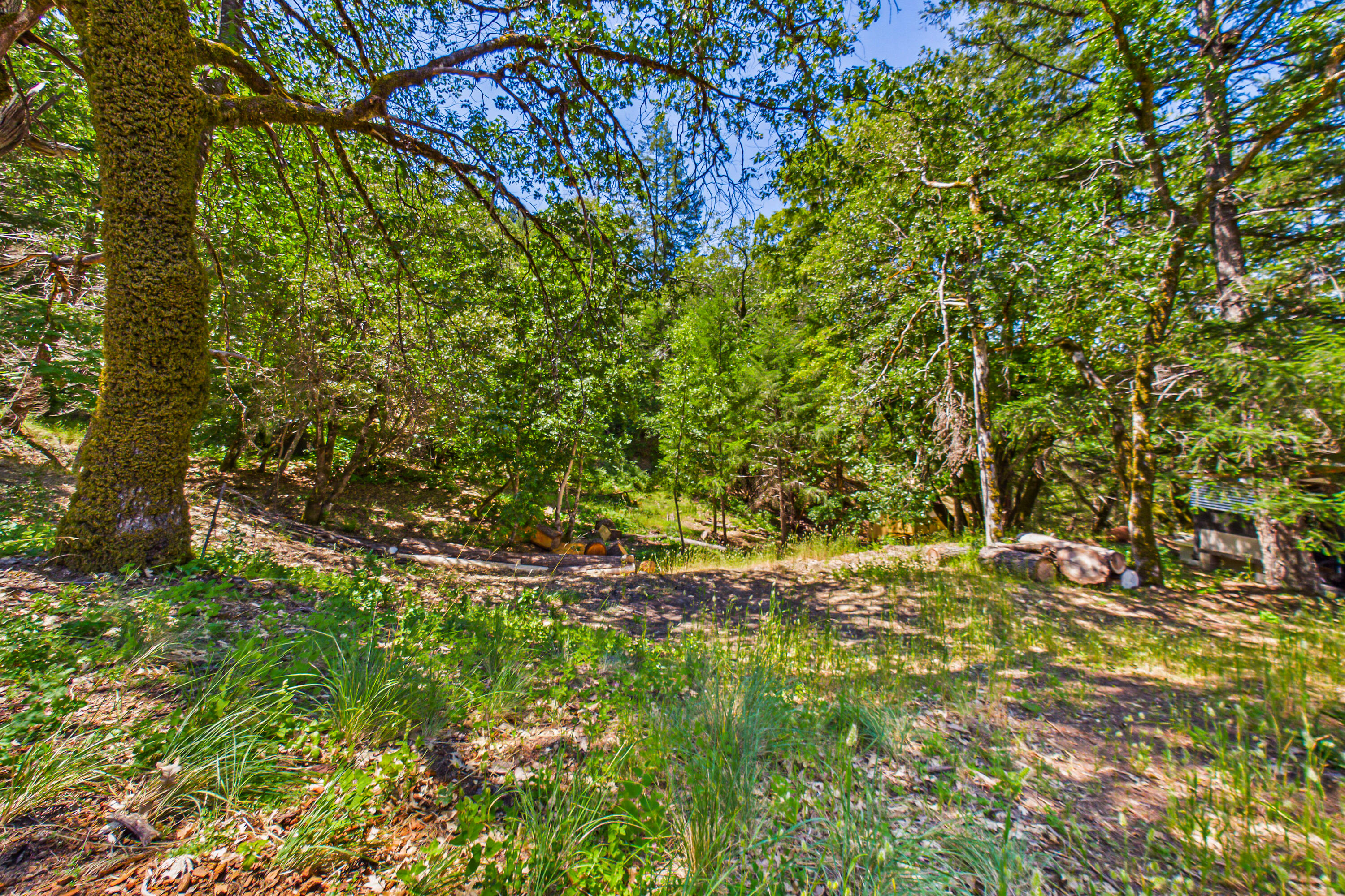 60890 Bell Springs Road Laytonville, CA 95454 - Photo 38 of 77 a backyard of a house with lots of trees
