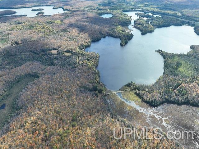 5800 Wolf Lake Road Watersmeet, MI 49969 - Photo 84 of 86