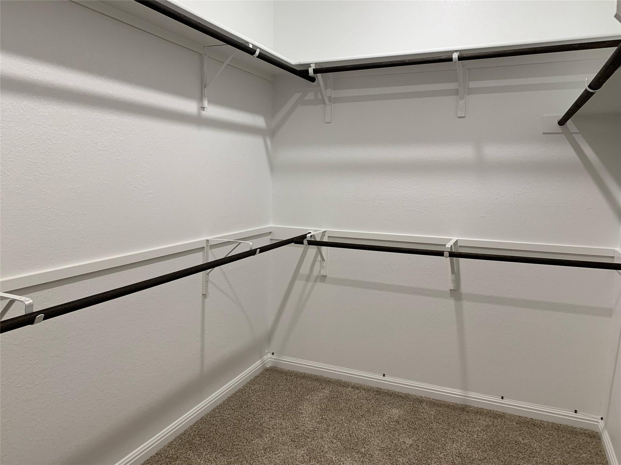 100 Royal Palm Way Leander, TX 78641 - Photo 14 of 29 Walk in closet with carpet