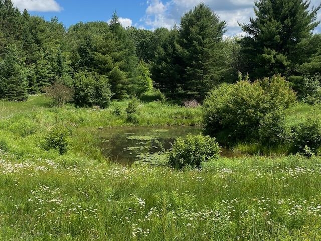 W3981 County Rd J Irma, WI 54442 - Photo 37 of 44