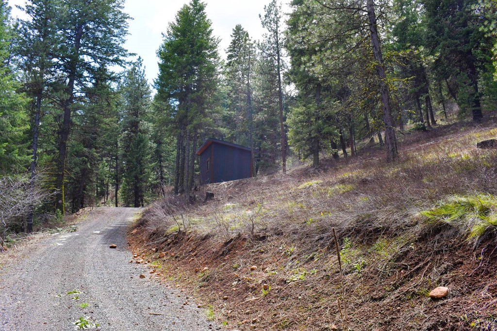 Lot 19 Little Salmon Road, Unit 19 New Meadows, ID 83654 - Photo 23 of 37