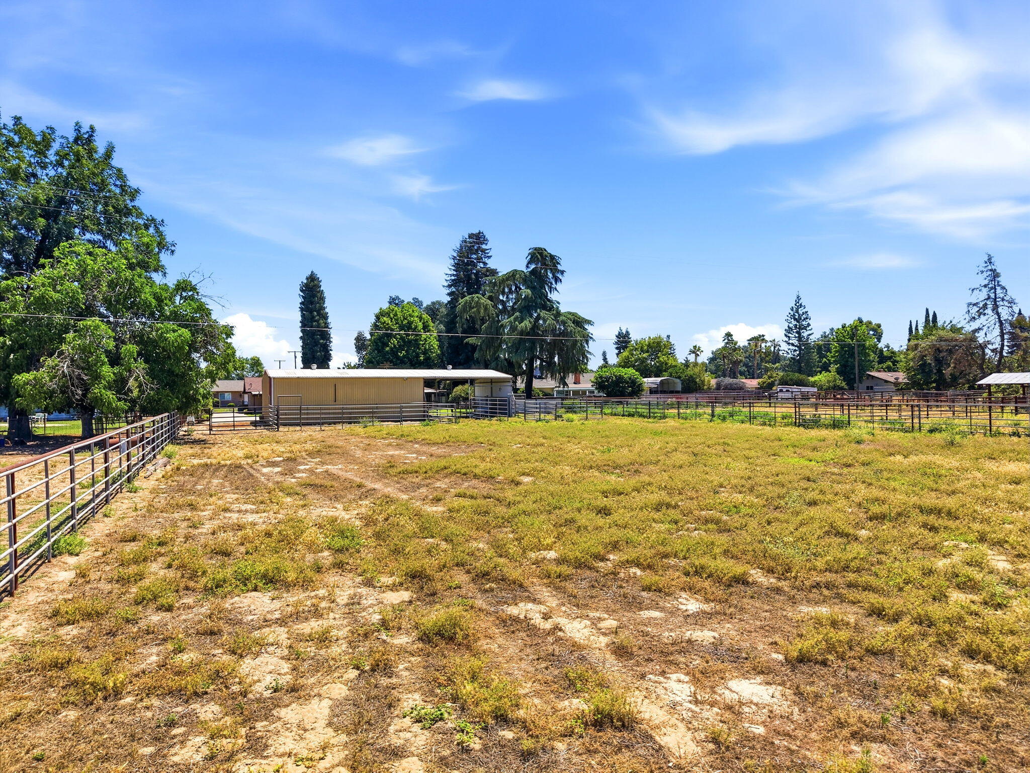 31121 Tower Road Visalia, CA 93292 - Photo 33 of 39 Backyard