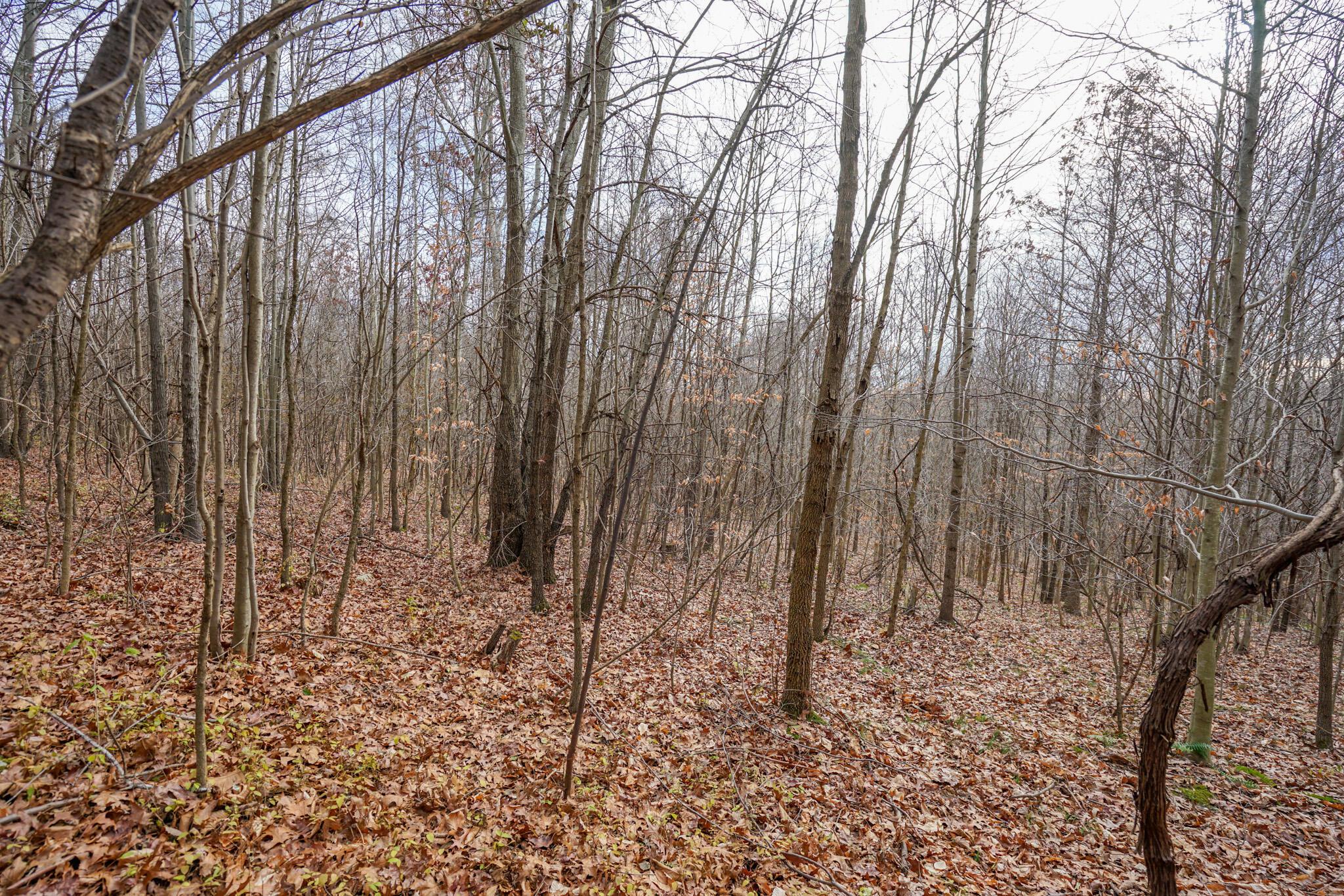 0 Fogle Road Caldwell, OH 43724 - Photo 15 of 42 DSC09899