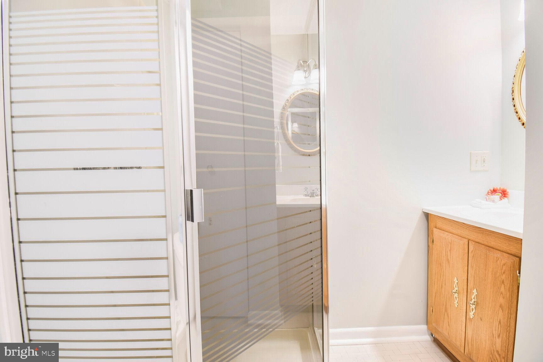 4000 Highview Drive Silver Spring, MD 20906 - Photo 21 of 30 Lower-level bath with shower