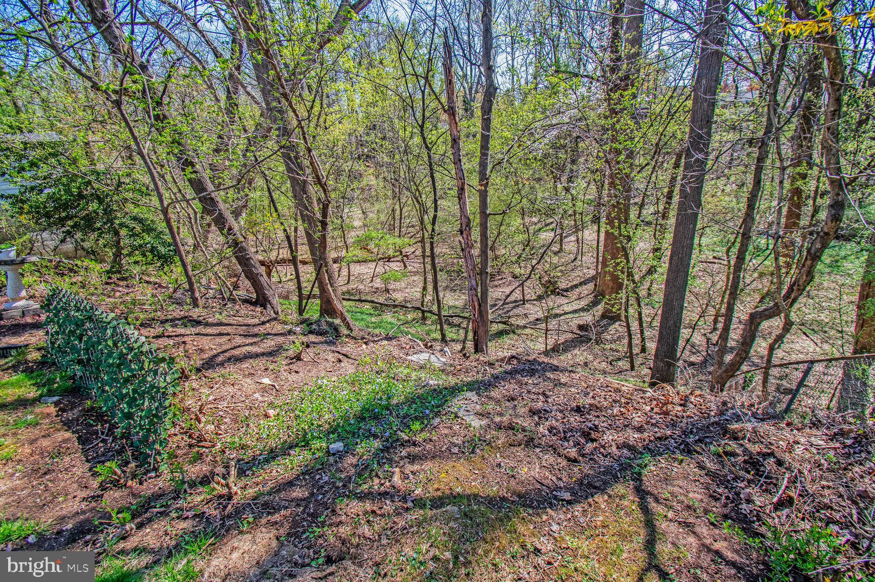 4000 Highview Drive Silver Spring, MD 20906 - Photo 30 of 30 Unobstructed woods behind house