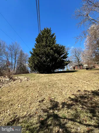 a view of yard with trees