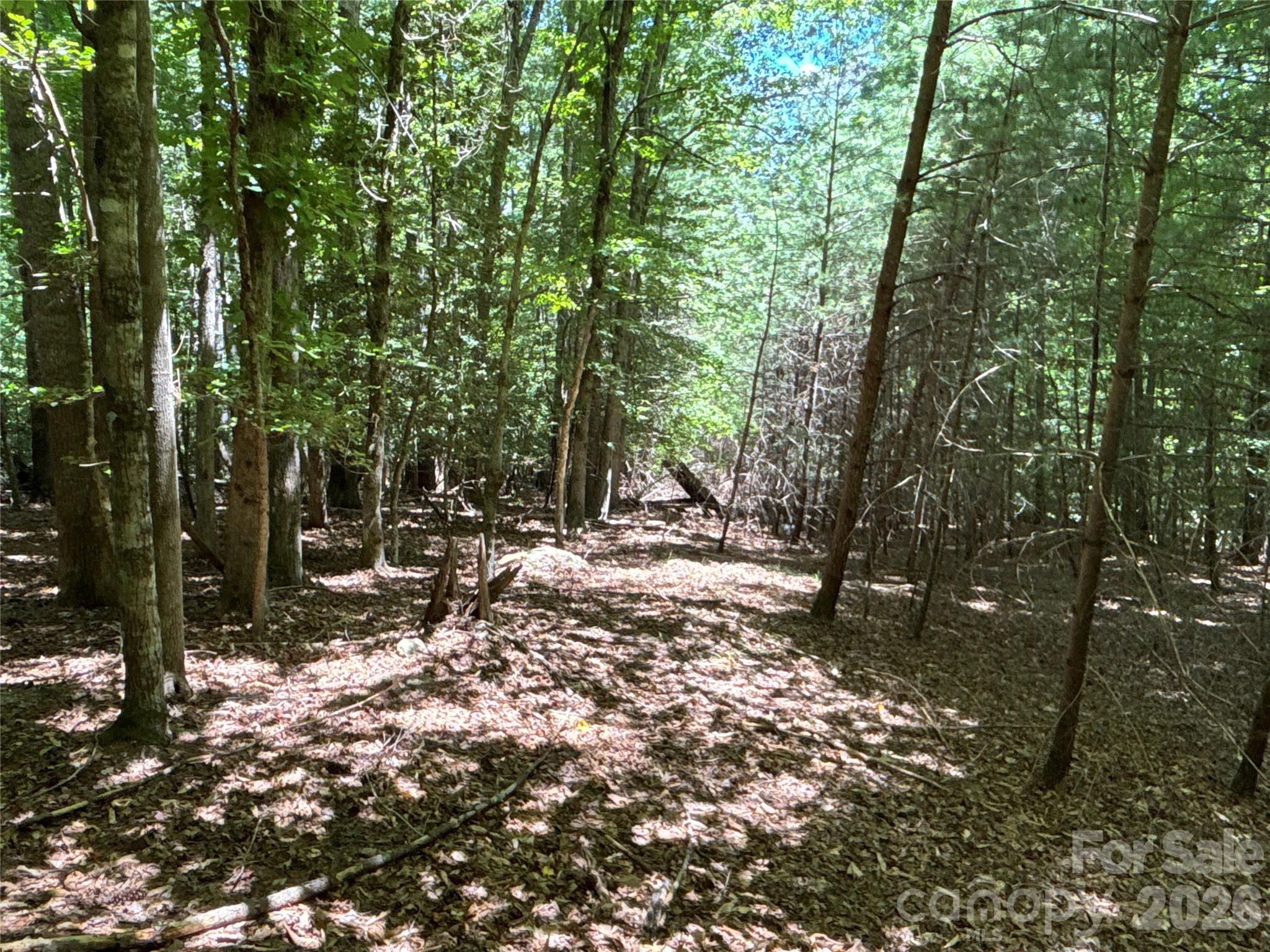 2006 Piedmont Road Morganton, NC 28655 - Photo 10 of 14