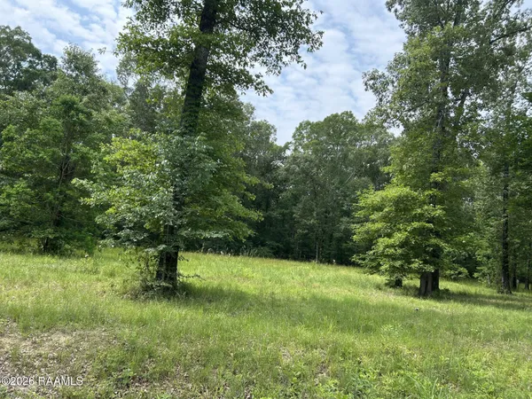 $49,900 | Tbd Tbd Juniper Ln Ville, Ville Platte, LA 70586