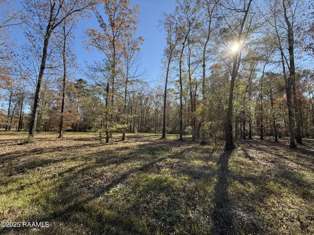 $57,000 | Tbd Tbd Juniper Ln Ville, Ville Platte, LA 70586