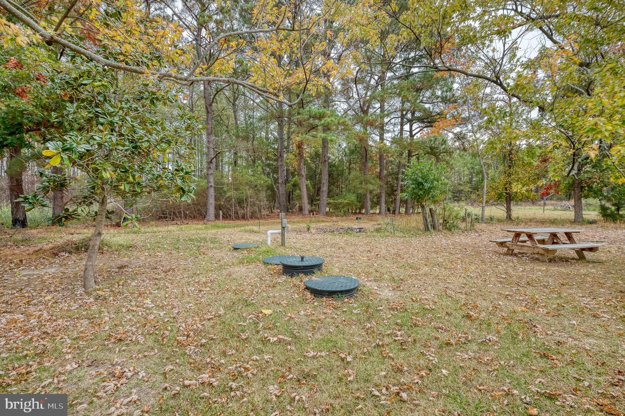 2407 Lakesville-Crapo Road Crapo, MD 21626 - Photo 31 of 43 Gallery Image 31