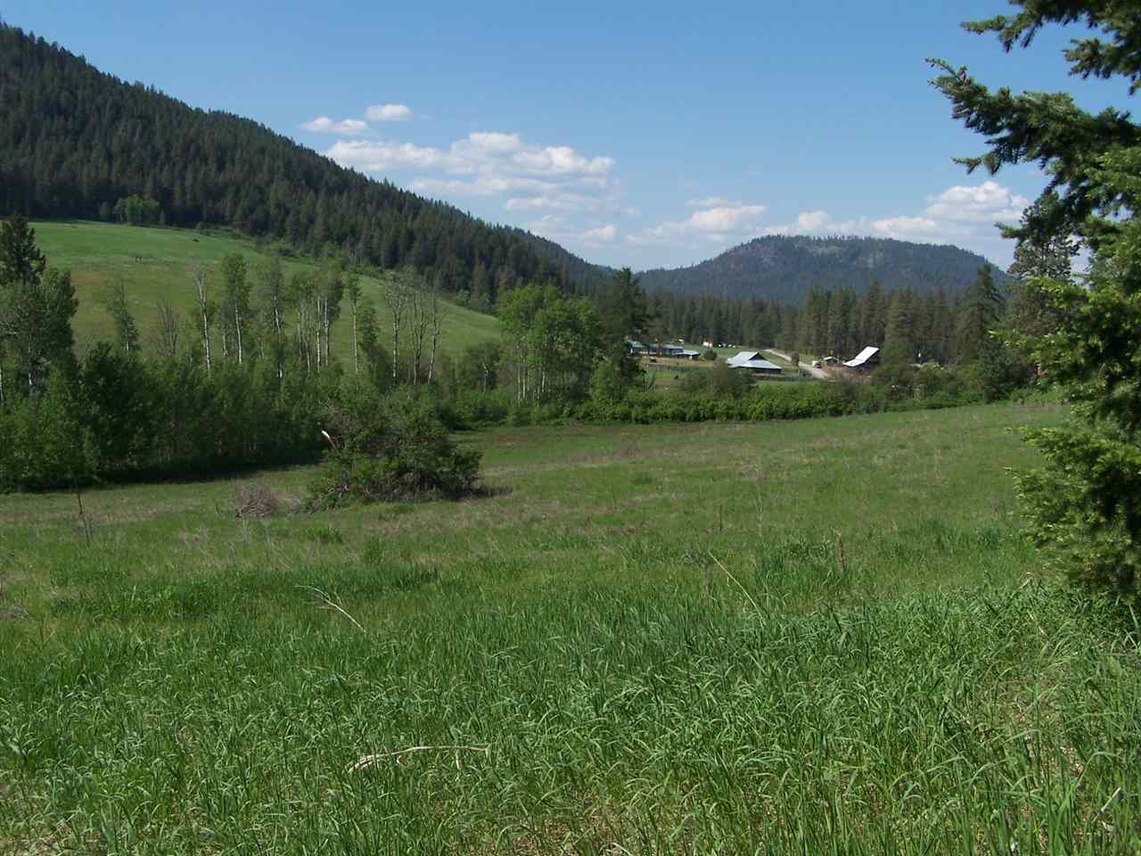 1686 A Brooks Road Evans, WA 99126 - Photo 14 of 20