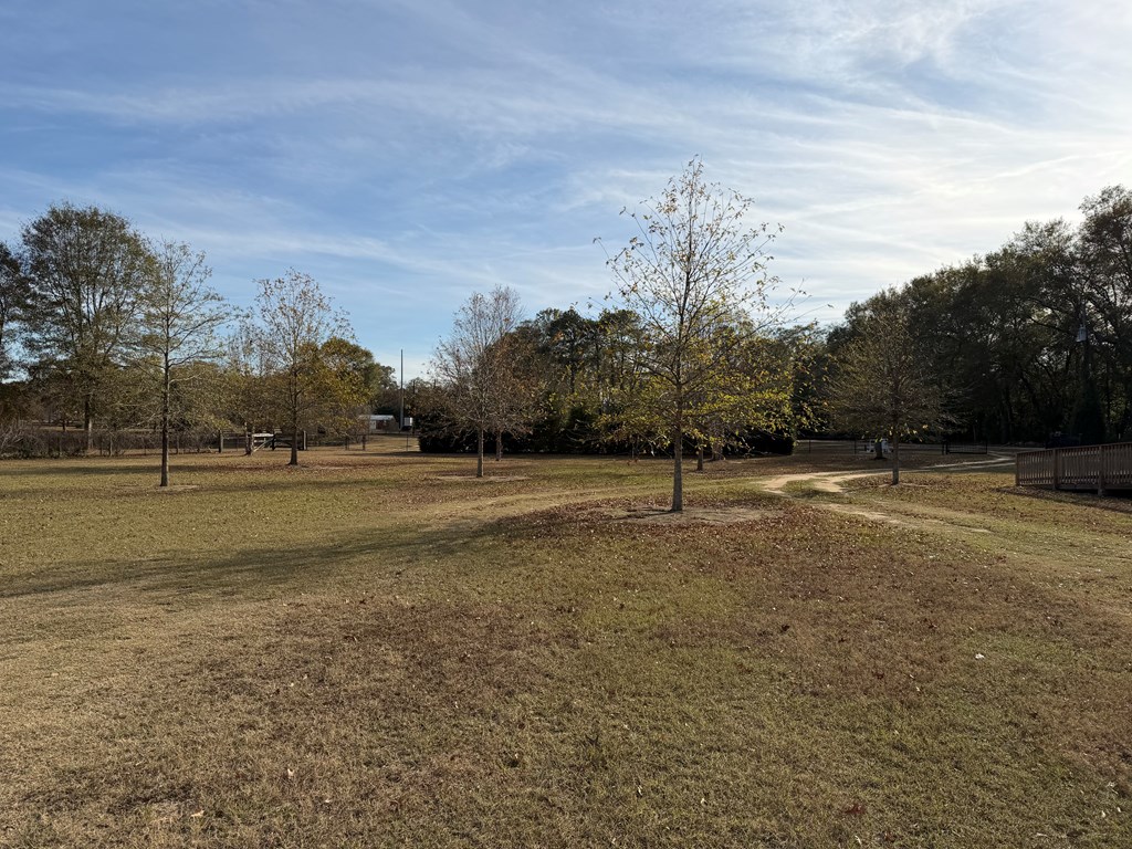 290 Hicks Road Dothan, AL 36303 - Photo 6 of 8