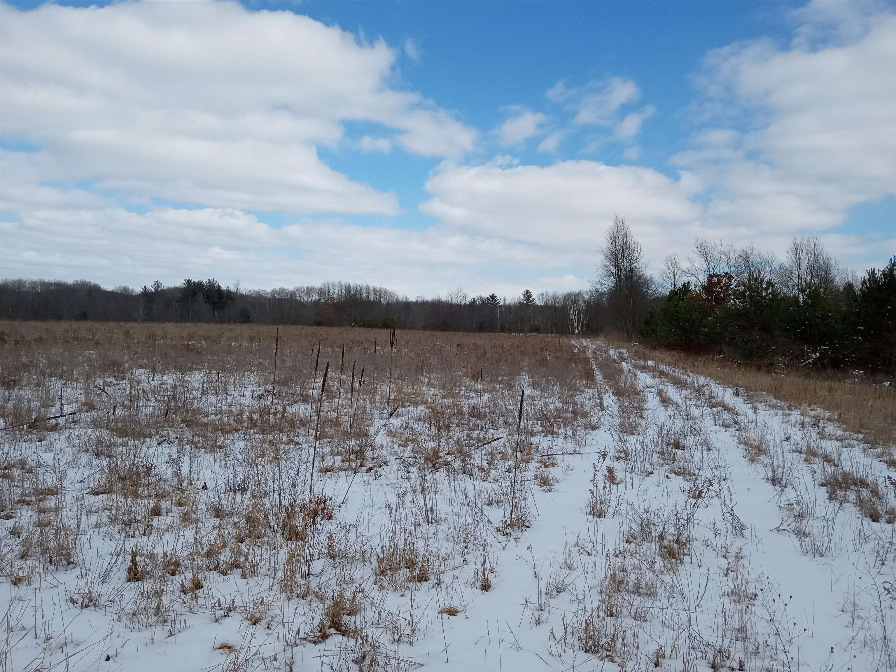 Tbd Roosevelt Road Remus, MI 49340 - Photo 6 of 27 1897397-5.JPG