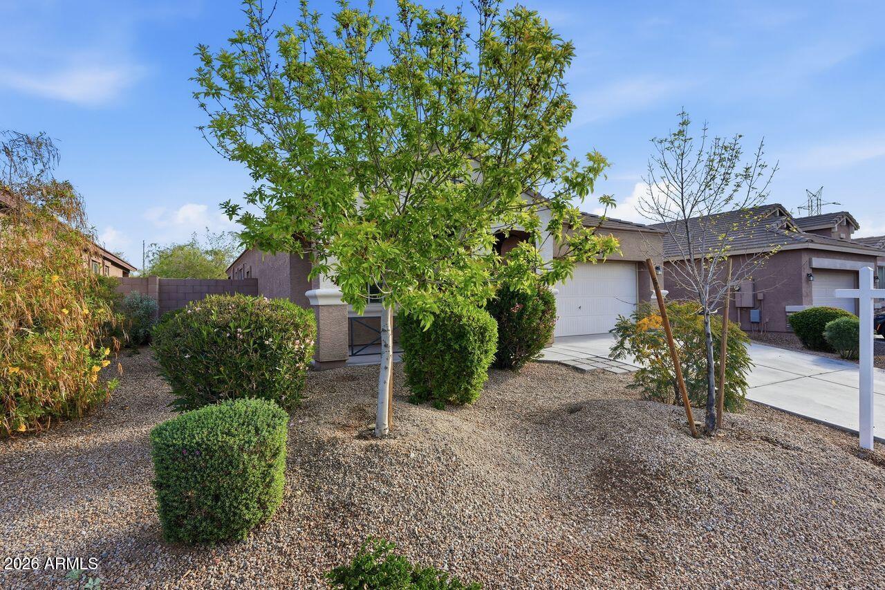 23602 West Ripple Road Buckeye, AZ 85326 - Photo 2 of 38 a view of a yard in front of house