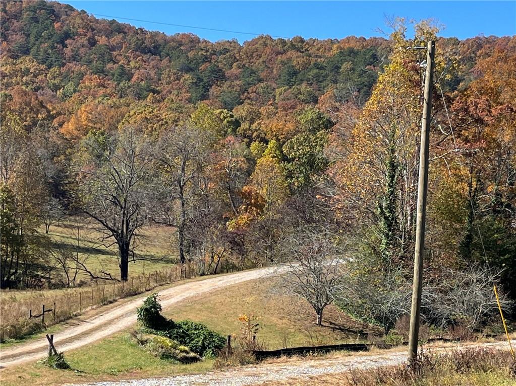0 Freeman View Trail Cleveland, GA 30528 - Photo 17 of 20